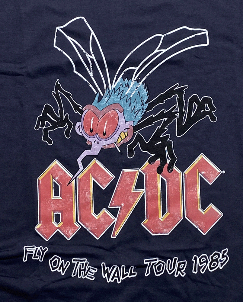 AC/DC ǥ FLY ON THE WALL TOUR T ե ХT åT