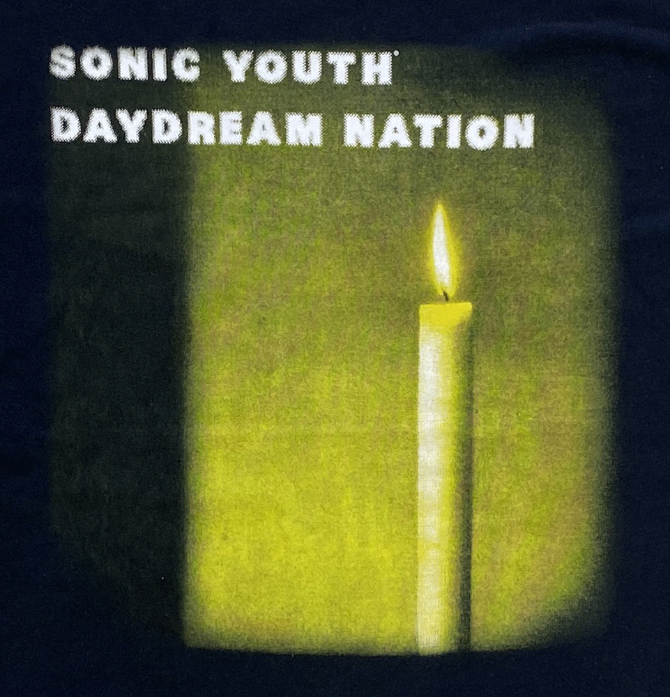 SONIC YOUTH˥å 桼DAYDREAM NATIONUKǡTġåT