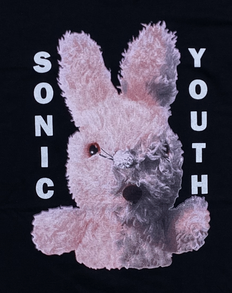 SONIC YOUTH˥å 桼BUNNY֥åTġåT